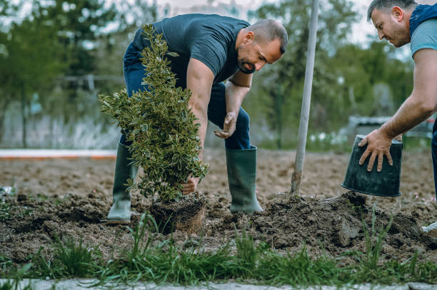 Best Artificial Turf Installation  in Martinsville, NJ