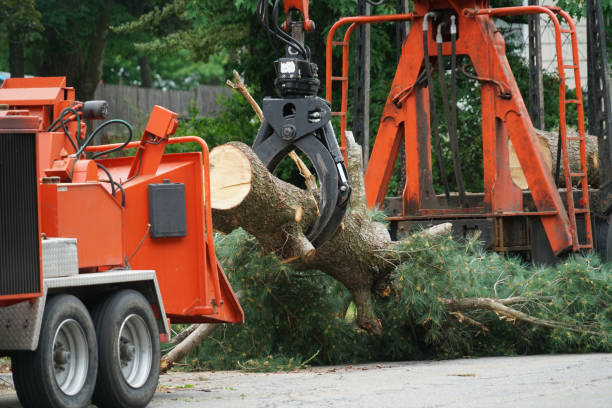 Grass Overseeding in Martinsville, NJ